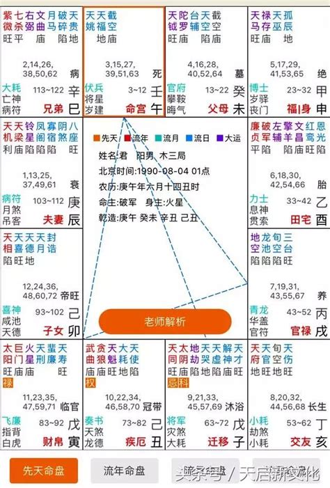 紫微斗數空白命盤下載 木瓜樹禁忌